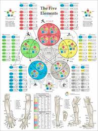 Acupuncture Meridians Points And Classifications Poster 24 X