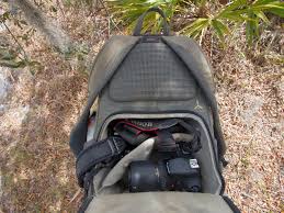 camera bags for wildlife photography