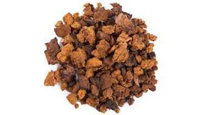 Chaga Tea Benefits And Nutrition Facts