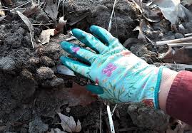 Digz Gardening Gloves Review The Self