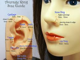 Nose Ring Size Chart Dogmaticblog Com