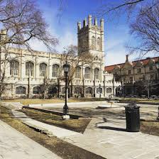 Loyola University of Chicago   The Princeton Review College     CollegeVine blog extrapercent