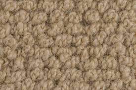 remove bile stains from wool carpet