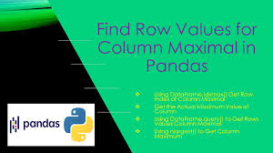 pandas find row values for column