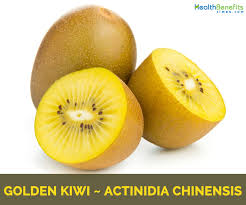 golden kiwi facts and health benefits
