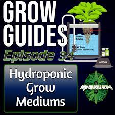 hydroponics for growing cans high
