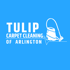 carpet cleaning rug and upholstery in