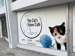 Looking to up your cat game? The Cat S Meow Cat Cafe Opening On Miami S Upper Eastside Miami New Times