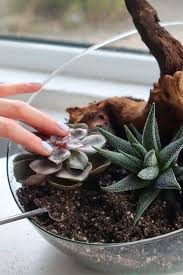 How To Make A Succulent Terrarium Diy