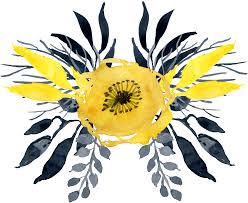 yellow flowers watercolor png png