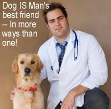 Image result for Dogs and humans are the only animals with prostates.