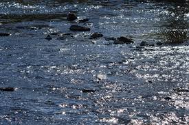 river water picture free photograph