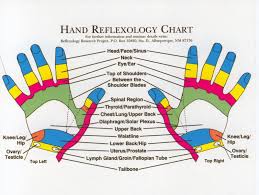 Reflexology Products Hand Reflexology Charts Personalized