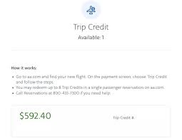 american airlines flight trip credits