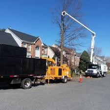 It's just not the right time to do an in person event that involves so many people, both participants and attendees, who come from too. Lopez Tree Services 113 Photos 220 Reviews Tree Services Falls Church Va Phone Number