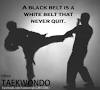 What it takes to get a black belt in Taekwondo? - Quora