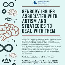 sensory issues ociated with autism