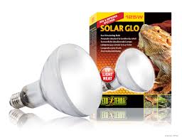 Uv Light And Heat For Musk Turtles Bulb Reptile Lights Solar