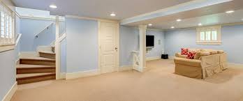 Household mold and mildew are common invaders in basements, especially in the presence of water damage, sump pumps, or other moist conditions. Why Are Basements Moldy How To Fix Prevent Mold In Homes Ecohome