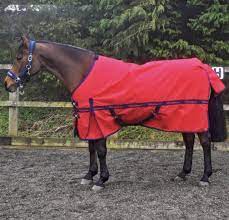 whitaker kirkby 100g turnout rug red