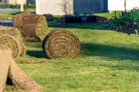 How to install roll turf. Protecting Your New Sod Against Crabgrass