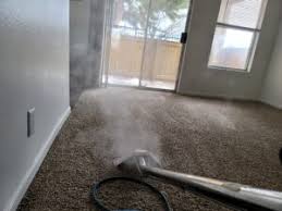 hot water extraction carpet cleaning in