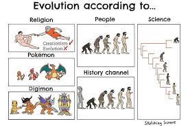 Evolution Chart Wiring Diagrams