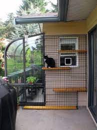 Cat Enclosures To Keep Your Kitty Safe