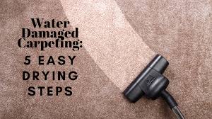 water damaged carpeting 5 easy drying