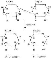 the hydrolysis s of i sucrose