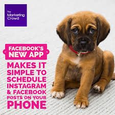 Reach more customers, more easily with facebook business suite (pages manager) App For Scheduling Your Facebook Instagram Posts On Your Phone The Marketing Crowd