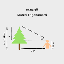 Pengetahuan perbandingan trigonometri dapat anda gunakan. Seorang Siswa Akan Mengukur Tinggi Pohon Yg Berjarak 6m Puncak Pohon Dengan Sudut Elevasi 30 Brainly Co Id