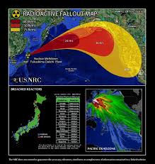 Study Fukushima Radiation Has Already Killed 14 000