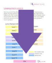 gymnastics levels guide