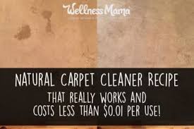 homemade carpet cleaner recipe