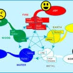 The 5 Elements And Emotions Sowenpoint