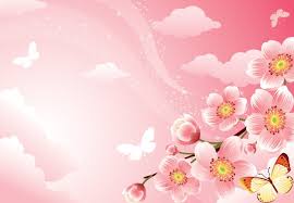 Pink Floral Background With Cherry Blossoms Free Vector