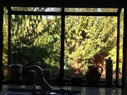 kitchen garden window vs regular window