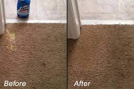 bleach stain repairs carpet dye kits