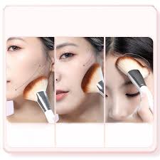 cosmetic powder brush makeup