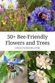 In general herbs and cottage garden perennials are good, and. 50 Flowers And Trees To Grow In A Bee Friendly Garden Lovely Greens