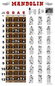 Mandolin Fretboard And Chord Chart Instructional Poster By