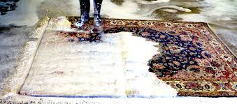 rug cleaning toronto