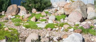 Let's learn more about rock gardens. How To Create And Build An Alpine Rockery Garden Pyracantha Co Uk