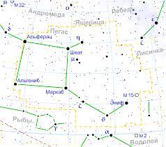Пегас (созвездие) — Википедия