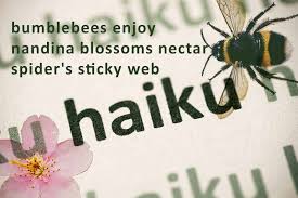 haiku definition and exles format