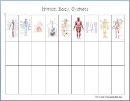 Human Body Systems Worksheets Homeschool Denhomeschool