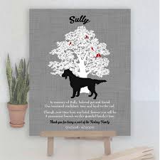 irish red setter family tree dog