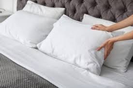 killing bed bugs in pillows in 7 easy