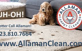 cleaning pet stains and odor on your carpet